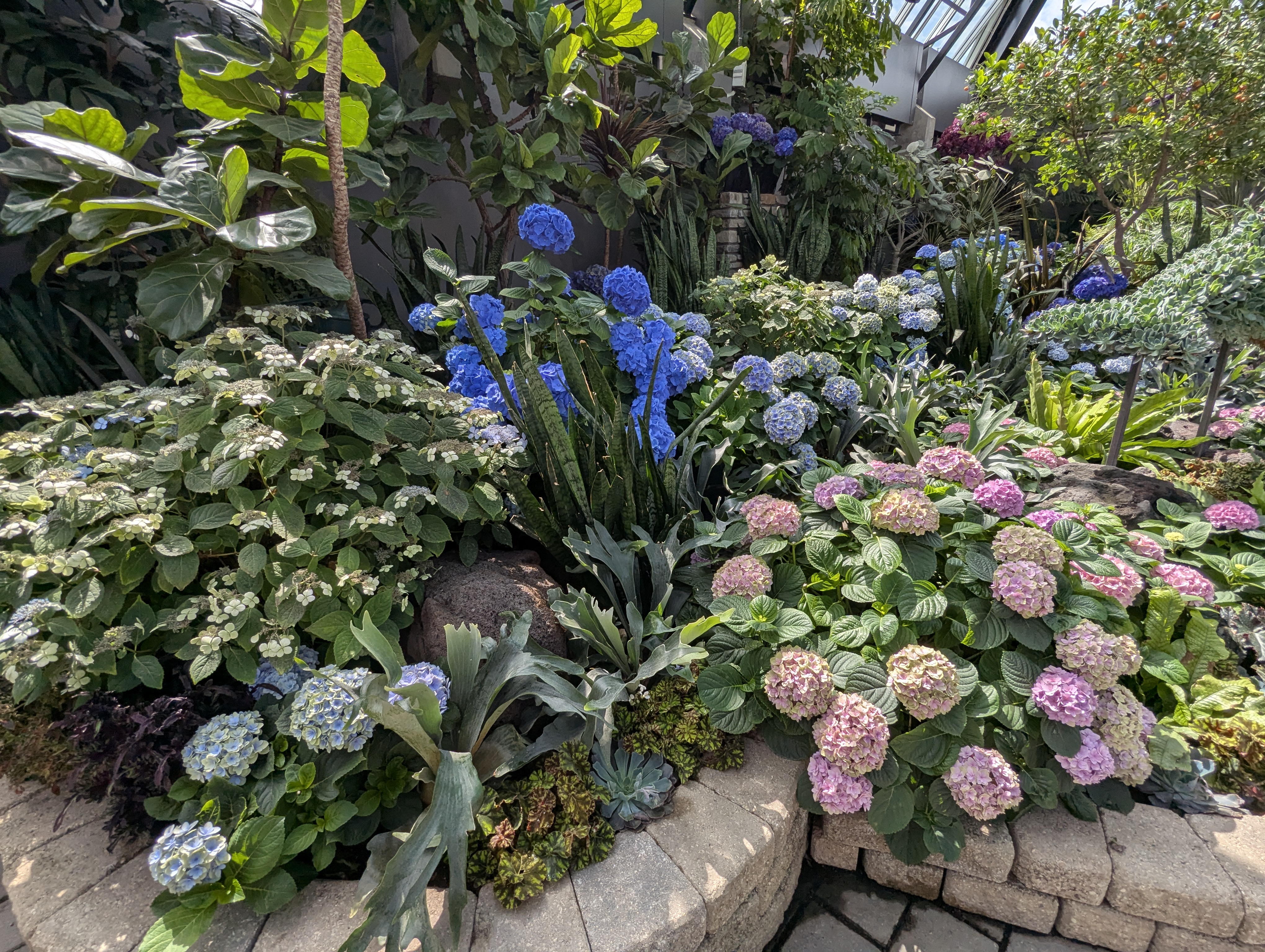 Birthday Trip to Canada, Edmonton, Pyramids, Muttart Observatory